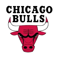 Chicago Bulls